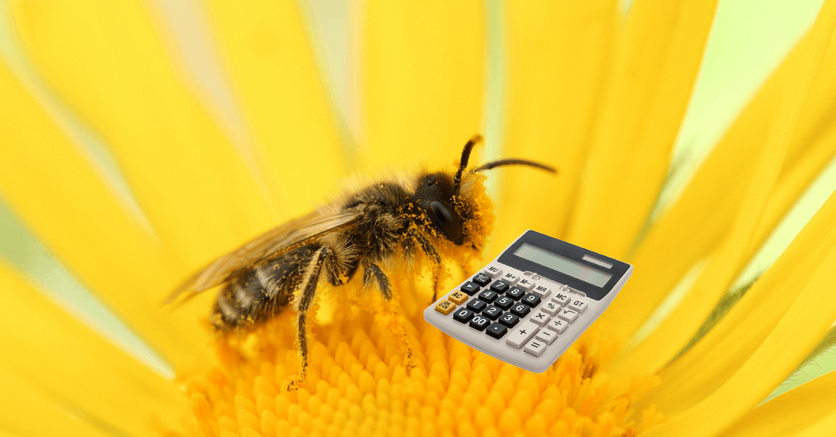 New research shows bees can do math