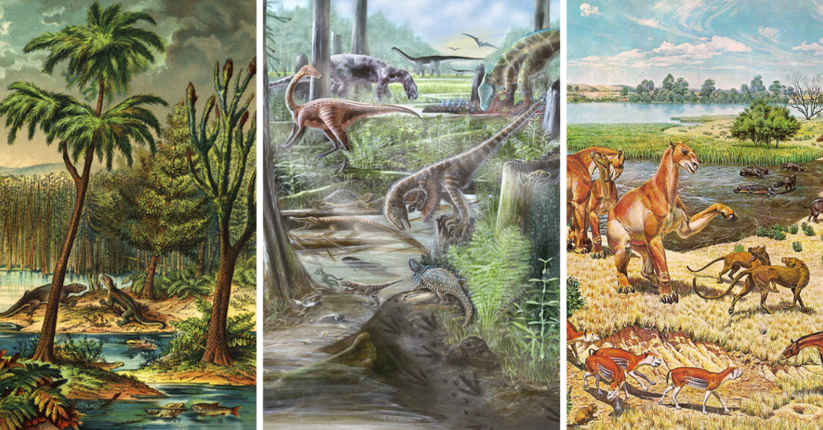 Humans have completely destabilized land animal diversity