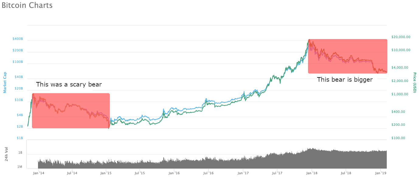 paskutinė bitcoin bear market