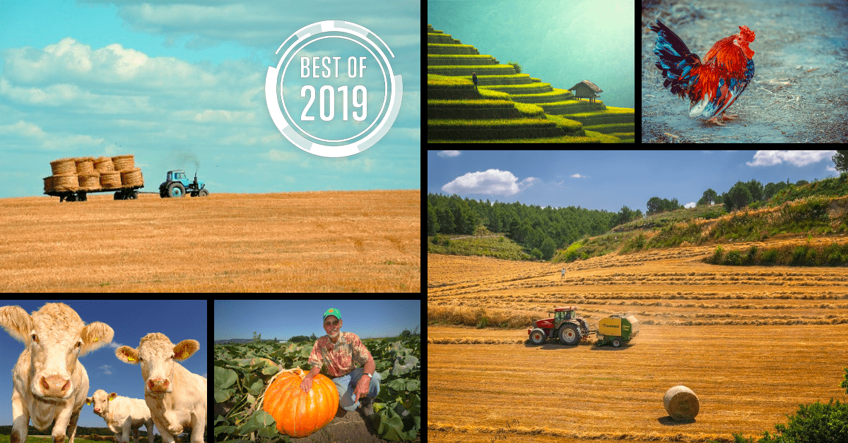 [Best of 2019] Why farmers hold the answer to making the personal data economy work