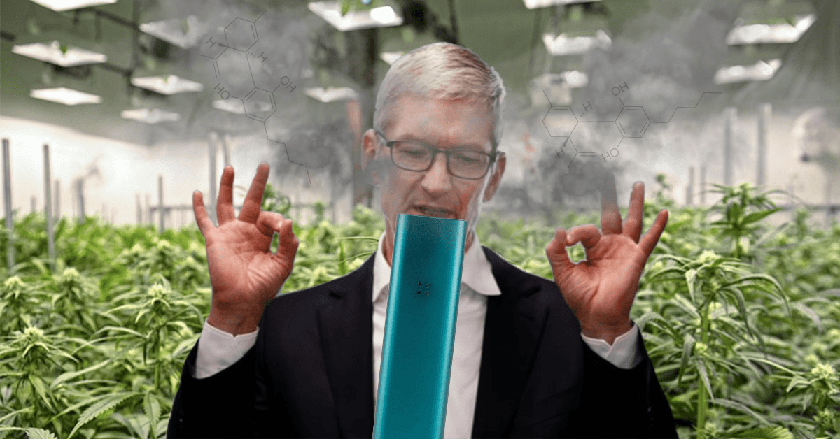 PAX wants to be the Apple of weed vapes – and CBD might be the key