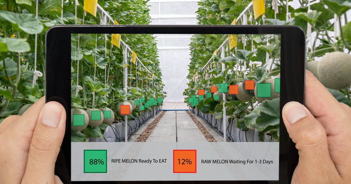 The digital farming revolution will cost workers their power, dignity, and possibly their jobs