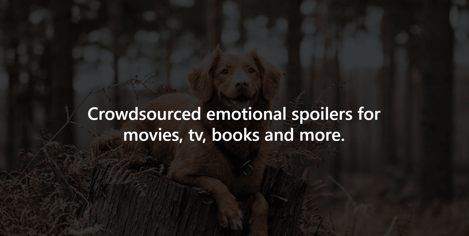 Calling all pet lovers: This website warns you of dog deaths in movies