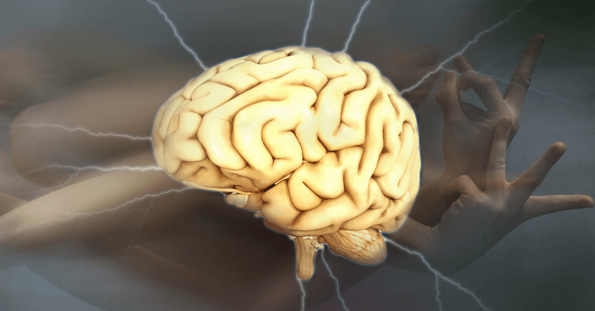 If you lose a body part, other bits get a sensory boost – thank you, brain