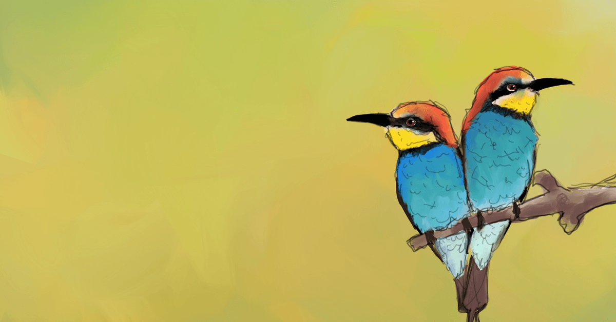 New technology reveals some birds have specific ‘migration buddies’