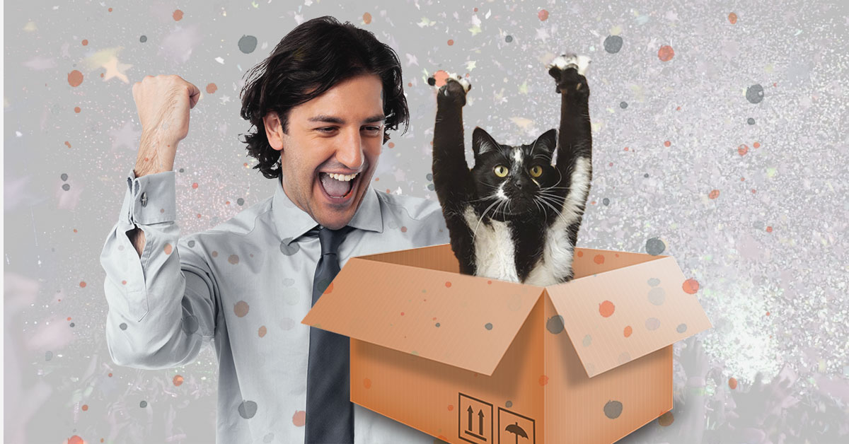 Physics breakthrough should solve quantum computing’s dead cat problem