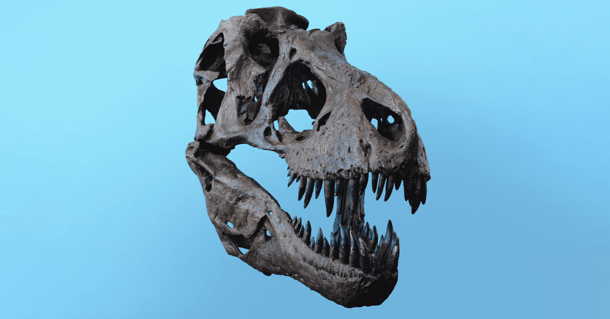 Dinosaurs are dead, but there’s still life inside their bones