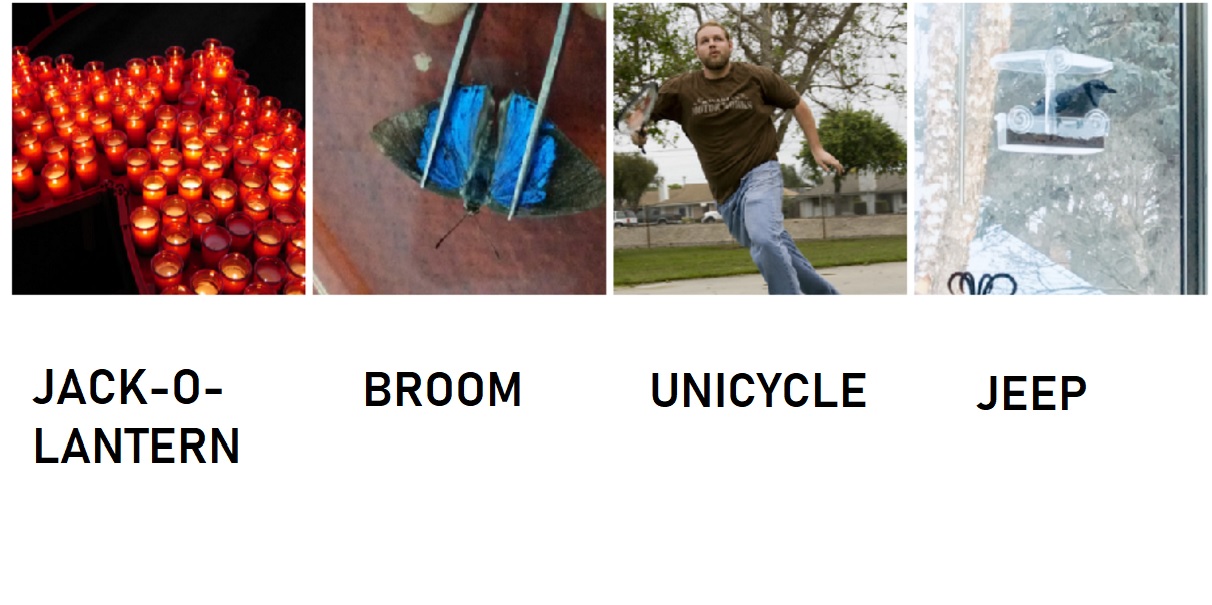 AI fails to recognize these nature images 98% of the time