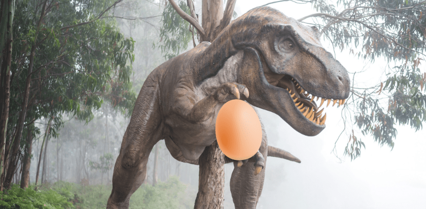 Dinosaur egg bonanza gives vital clues about prehistoric parenting