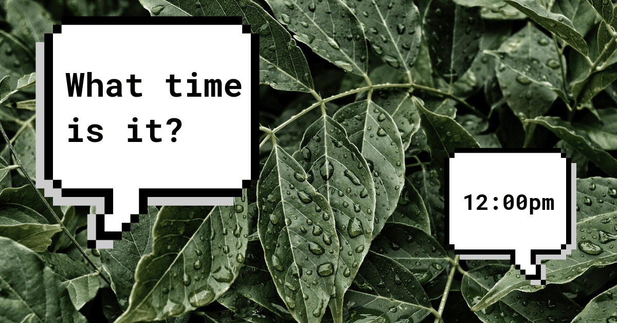 Plant cells signal between each other to agree on what time it is