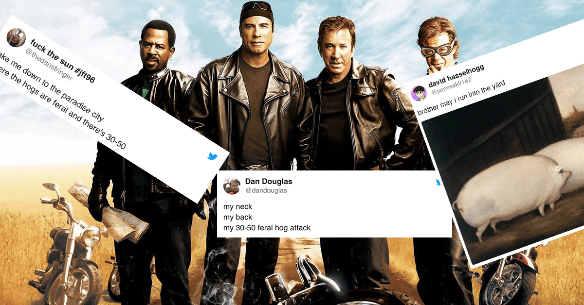 The ‘feral hog’ meme encapsulates the best side of the internet