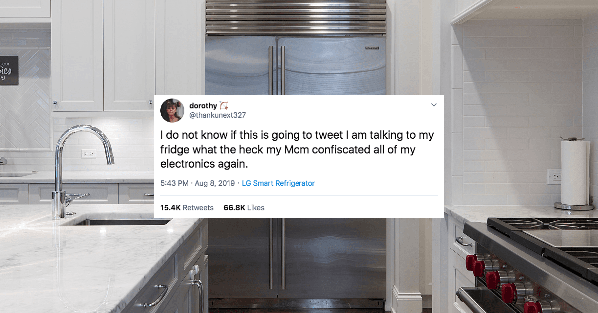 Teen finds way around parents’ tech confiscation: Tweeting from the smart fridge (Update: bogus)