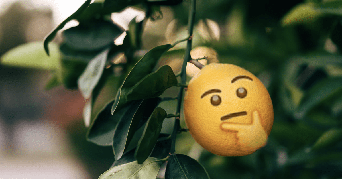 How plants’ ability to ‘think’ might force us to redefine intelligence