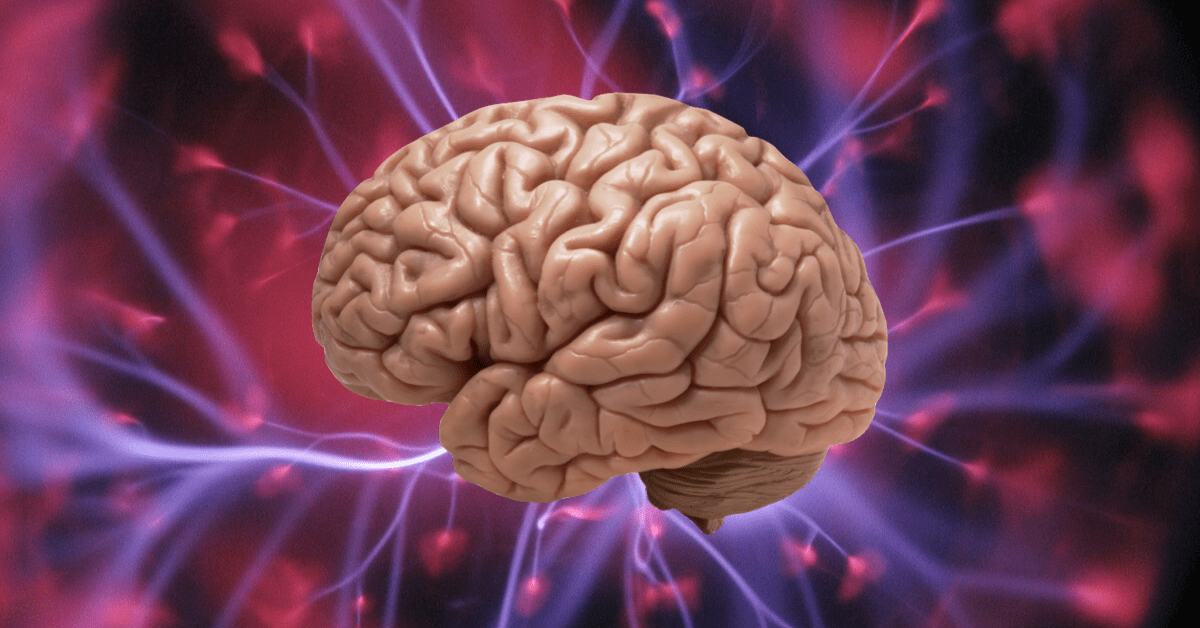 New research on mice reveals how sleep makes the brain forget things