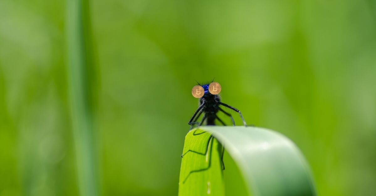 Kraken bug apparently let users buy Bitcoin for $8,000 and instantly sell it for $12,000