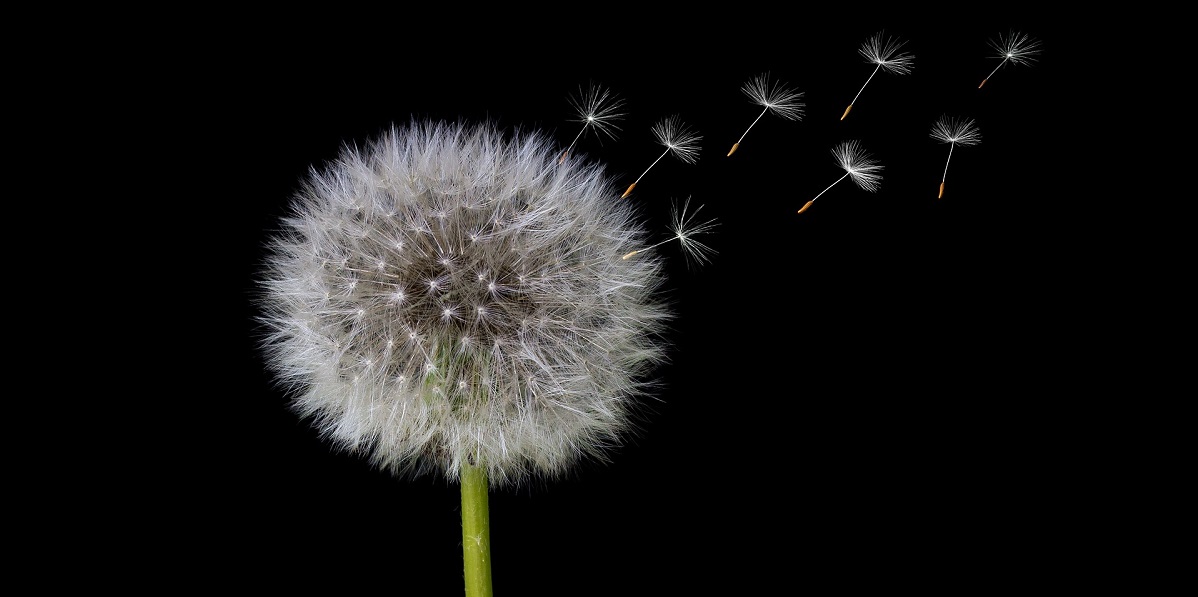 Obsessed with death? You might have ‘existential isolation,’ says study