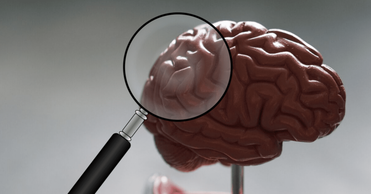 Studying brains can explain why tech affects men and women differently