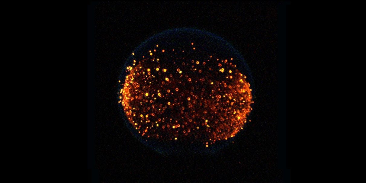 Could quantum neural networking lead to human immortality?