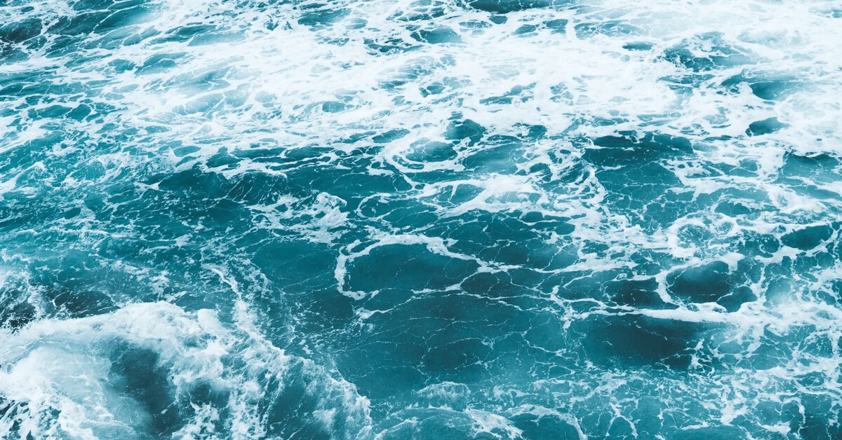 Study: Ocean ecosystems take 2 million years to recover after mass extinction