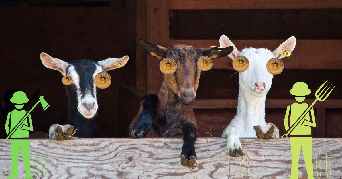 Here’s why farmers and blockchain are actually a great fit