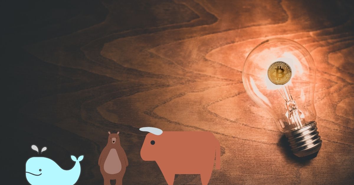 A quick overview of cryptocurrency whales, bears, and bulls
