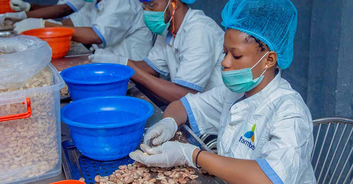 How affordable agricultural technology is solving food insecurity in Nigeria