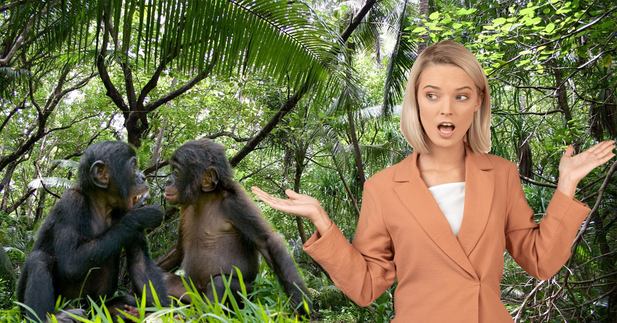 Human language stops us from understanding how animals think