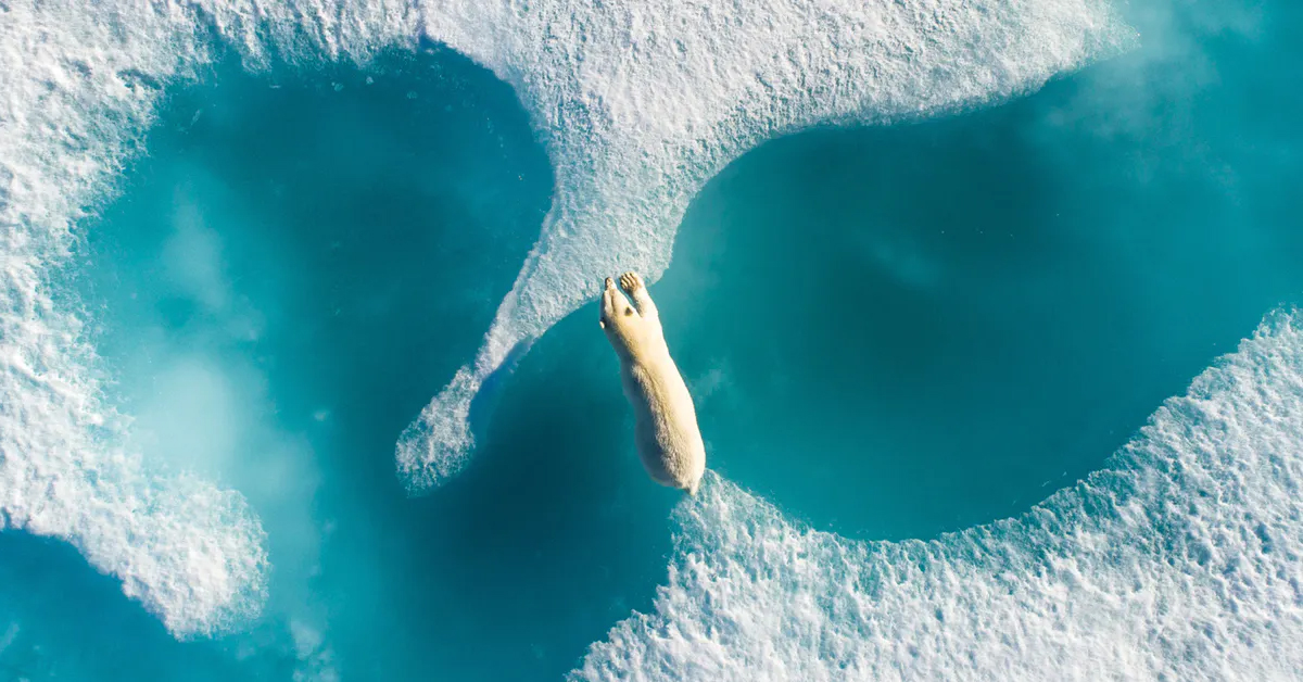 Sea levels are rising more than expected, according to scientists