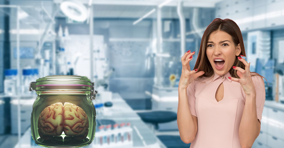 Lab-grown mini brains could soon outsmart us