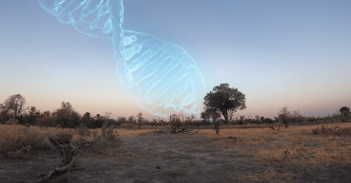 Research: DNA pinpoints region in northern Botswana as humanity’s birthplace