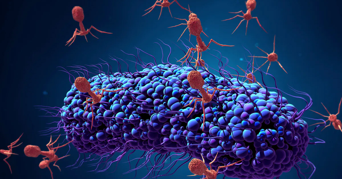 Scientists are reengineering viruses to fight antibiotic resistance