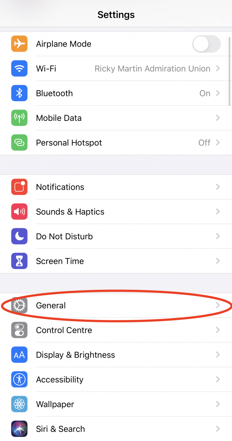 iPhone settings page general