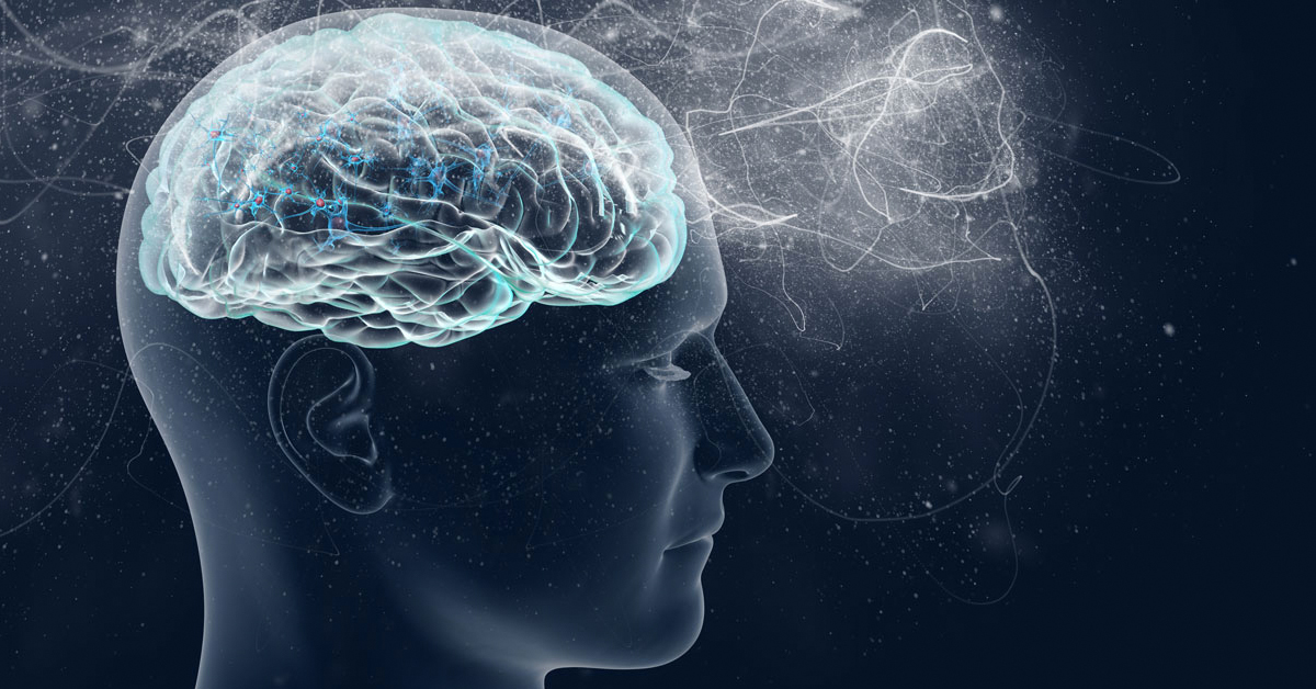 New discoveries in neuroscience show what’s right and wrong with AI