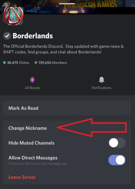 How to have different names in Discord servers