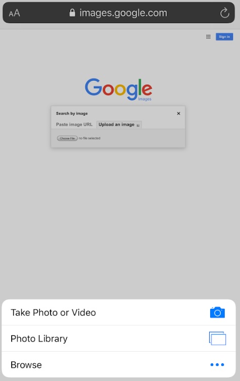 search image on google iphone