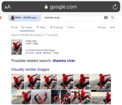 google picture search iphone
