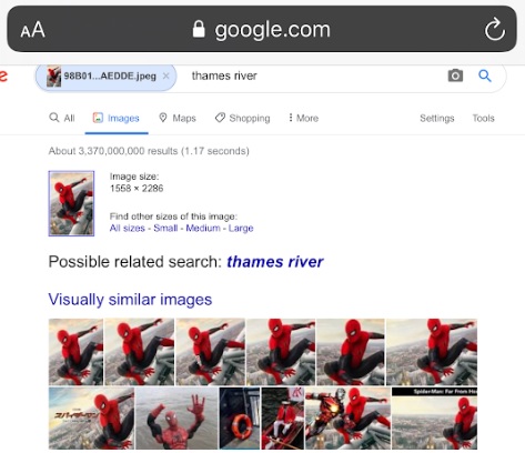 How to use Google image search on an iPhone - 35