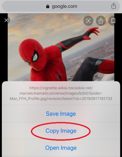 How to use Google image search on an iPhone - 92