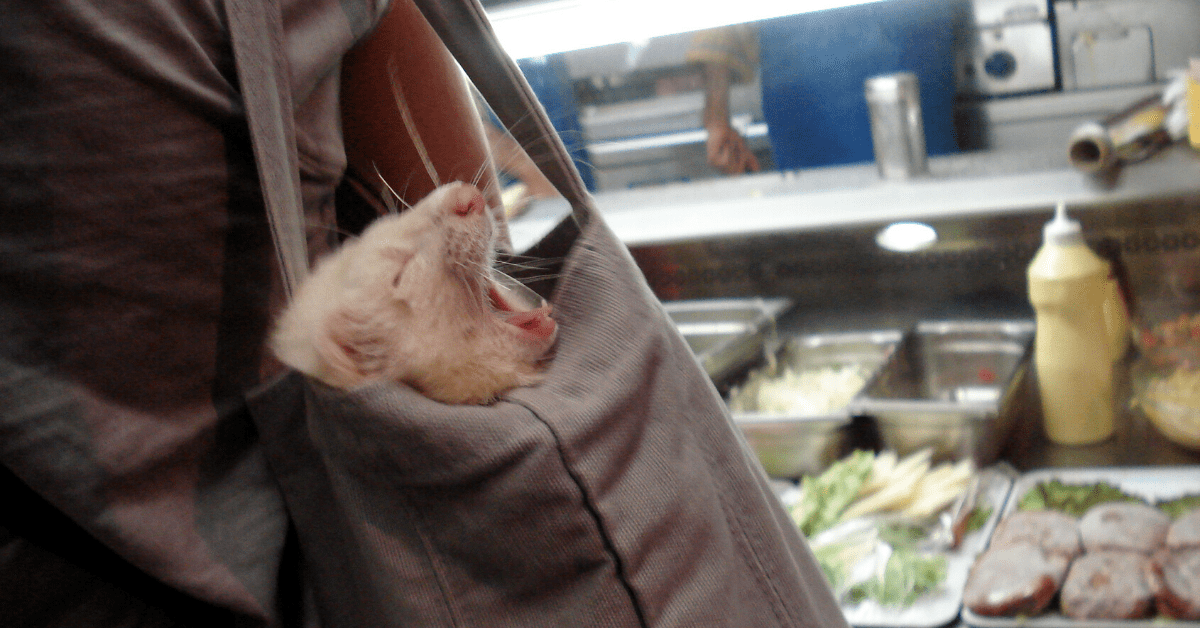 Here’s how AI can help you sleep