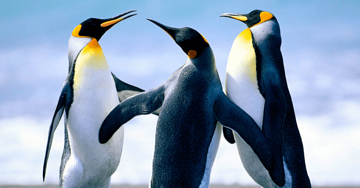 AI studies our photos to prove that nature makes us happy