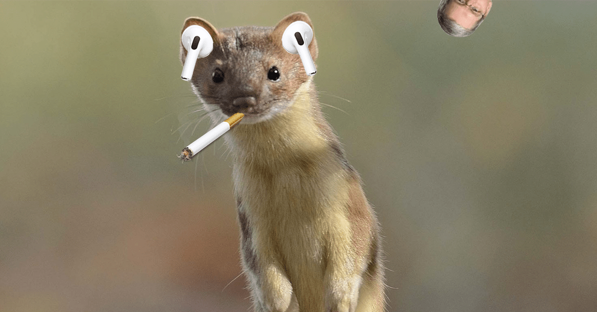 The AirPods Pro have weaselled their way into my everyday life