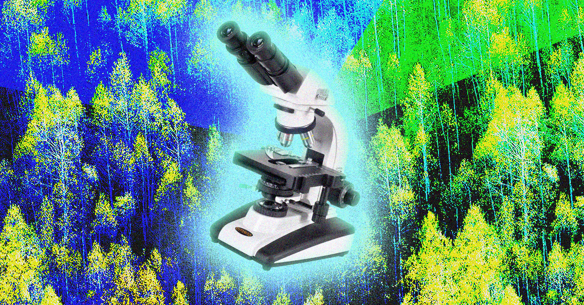 Startup post-mortem: 5 lessons from a failed business venture