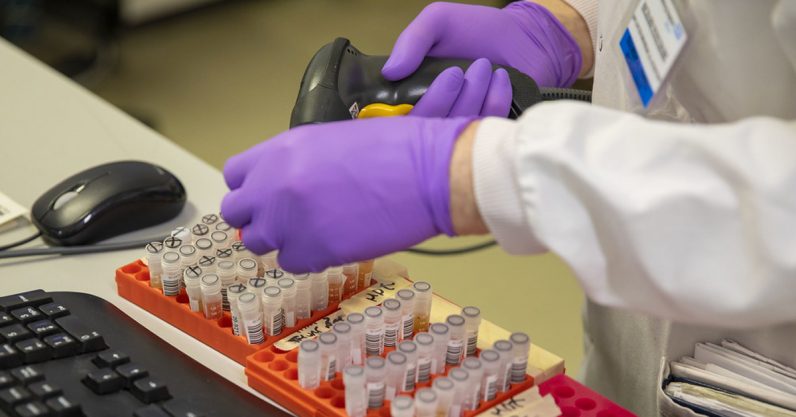 Researchers are using these mathematical models to predict the spread of coronavirus