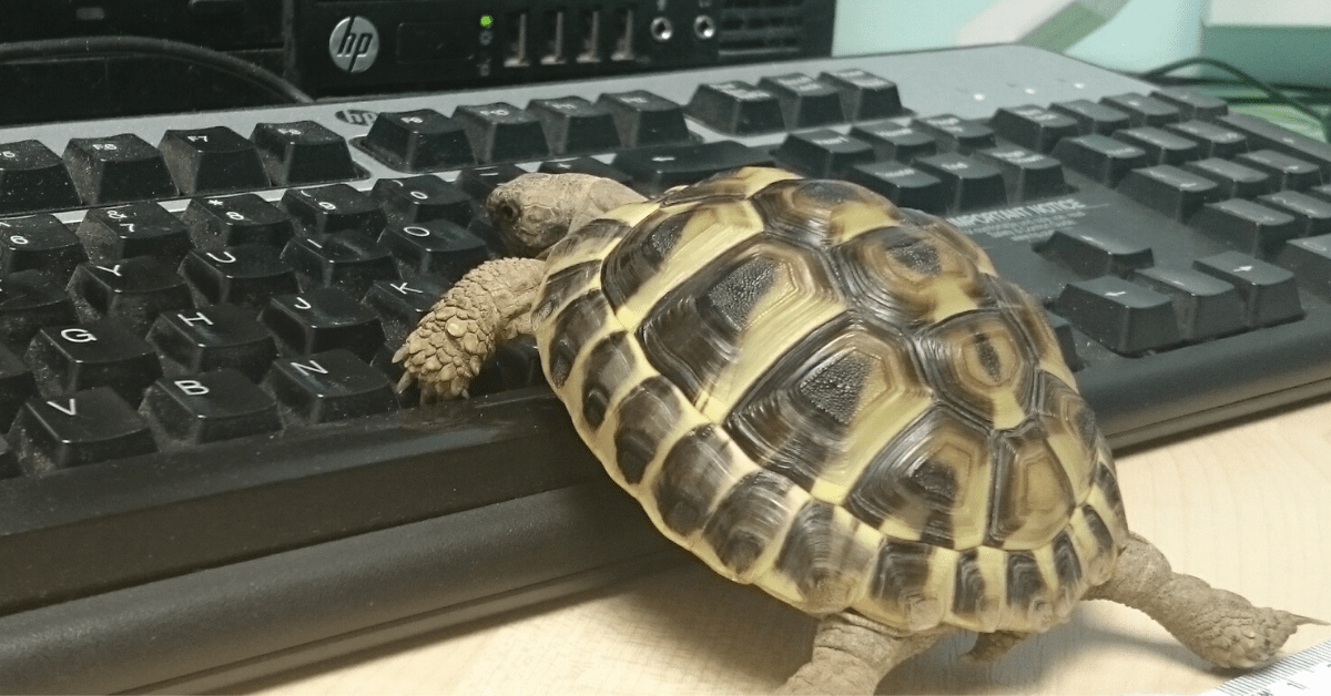 Microsoft Word’s AI wants to rewrite your crappy sentences