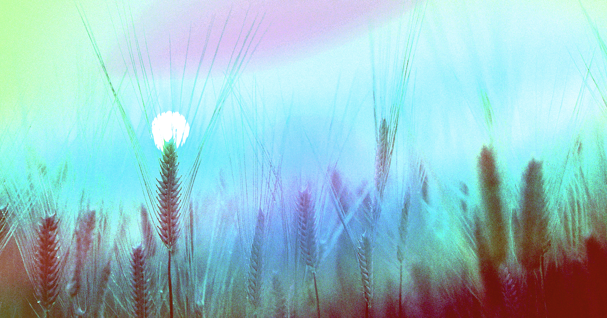 Responsible growth: Why tech companies must wake up