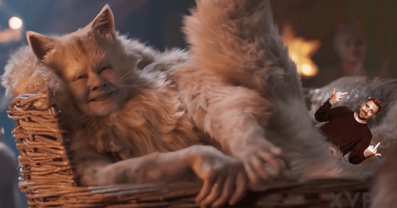 header image A Cats butthole cut ‘trailer’ is out — an analysis of its alternative reality