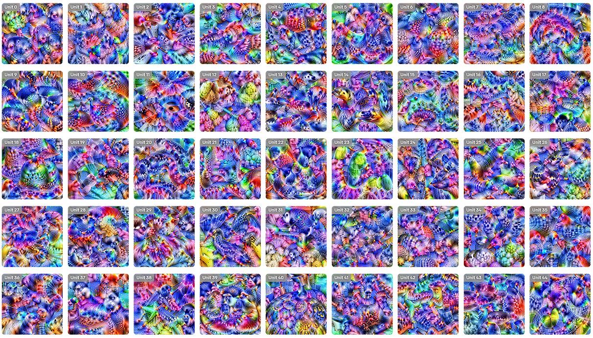 Check out these gorgeous visualizations of popular neural networks