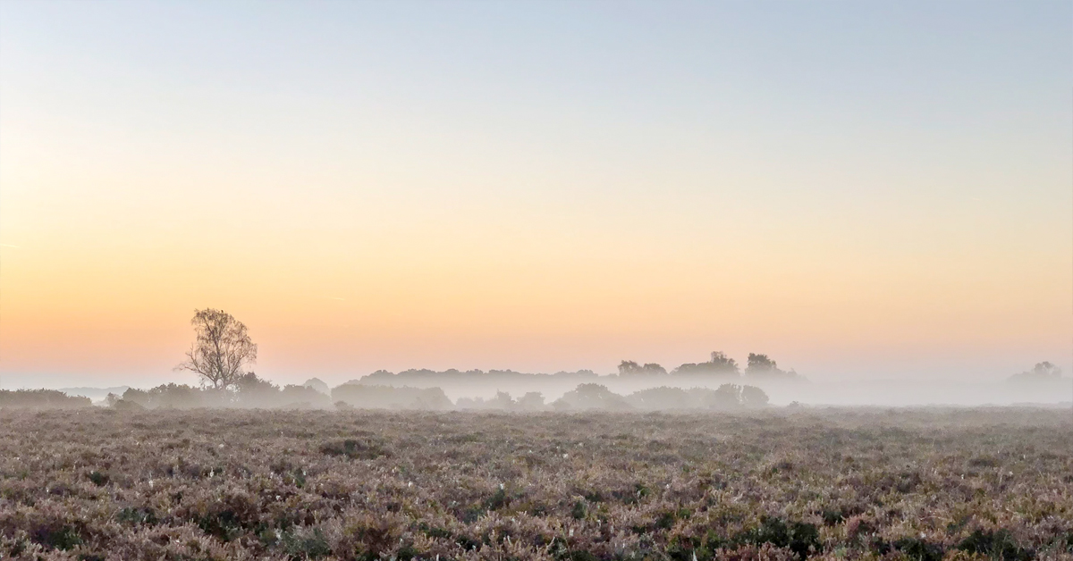 Prehistoric climate change damaged the ozone layer and led to a mass extinction, study finds