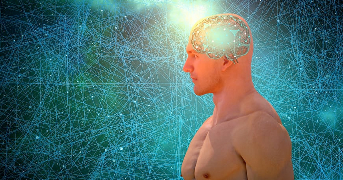 Research: Artificial neural networks are more similar to the brain than we thought
