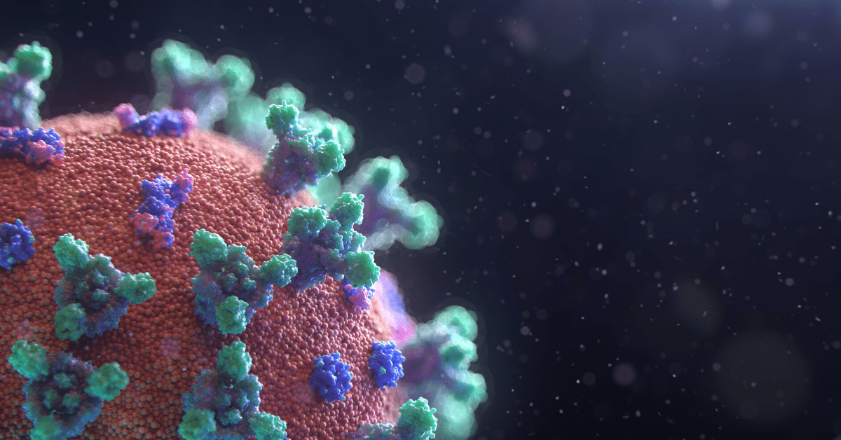 Will flu or cold viruses push the new coronavirus out of circulation this winter?